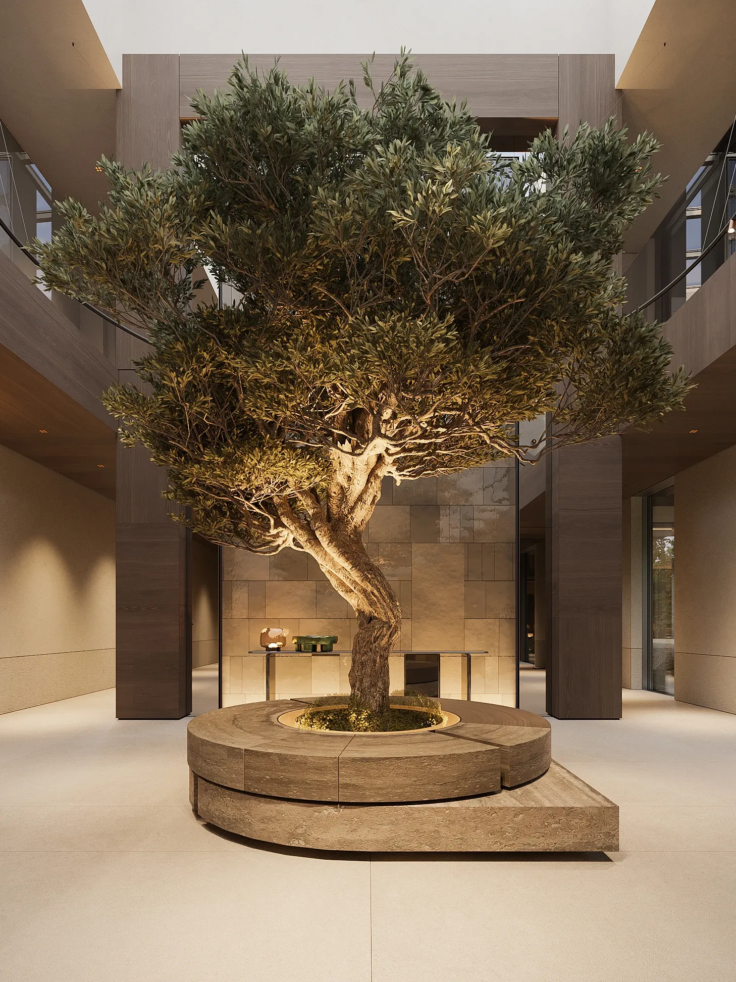 Atrium with mature olive tree in stone planter beneath skylight, The Secret Court, Poland