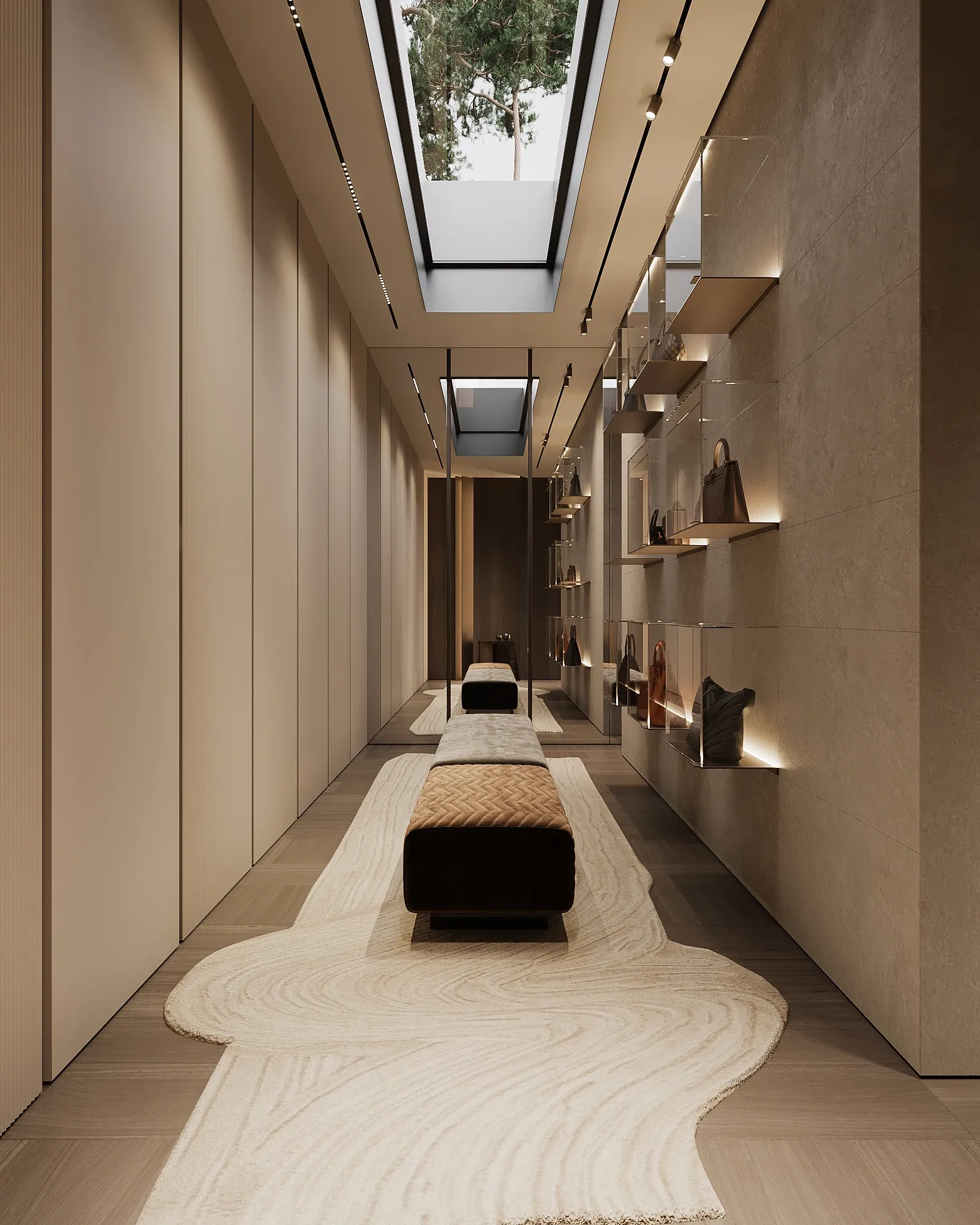 Walk-in closet with skylight, display shelving and cream runner rug, The Evergreen Residence, Warsaw